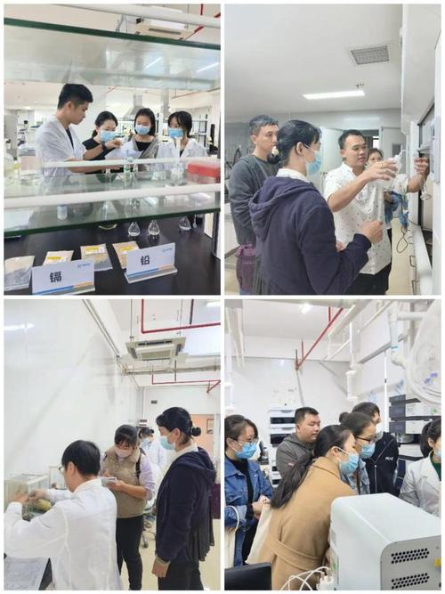 海南省食品安全协会圆满举办2024食品检验员职业技能培训班